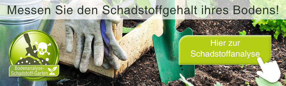 Schadstoffe im Boden