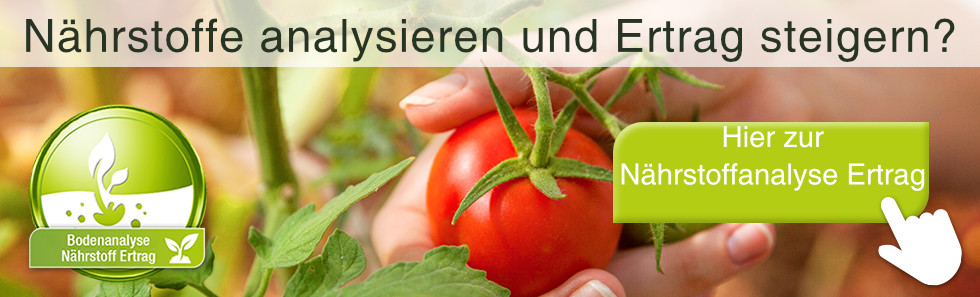 Boden-Nährstoffe