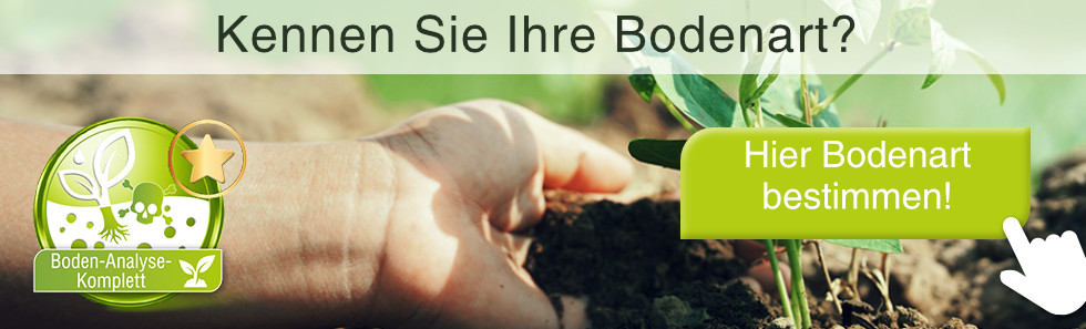 boden art bestimmen