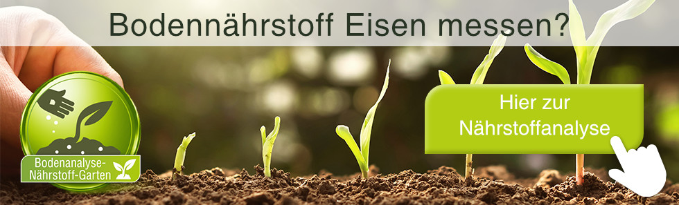Bodennährstoff Eisen