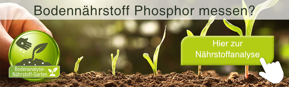 Bodennährstoff Phosphor