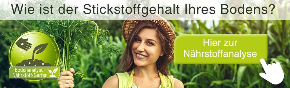 Stickstoffgehalt