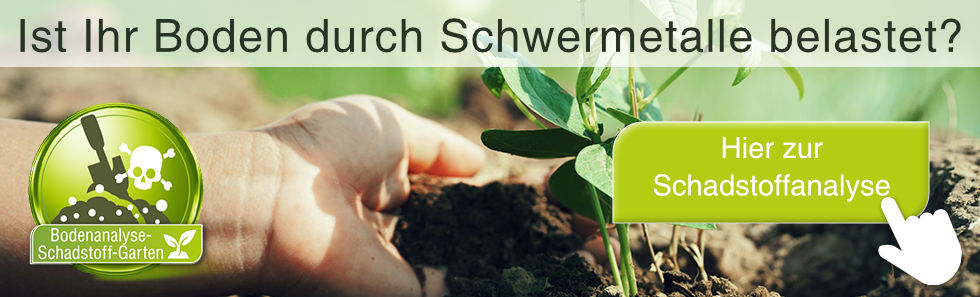 Schwermetalle im Boden