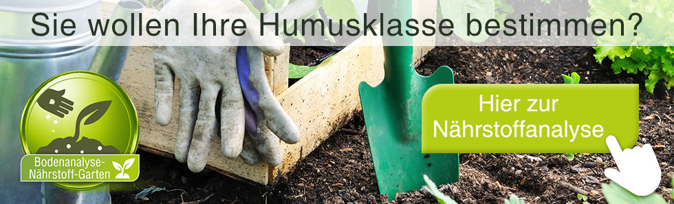 humusklasse-bestimmen