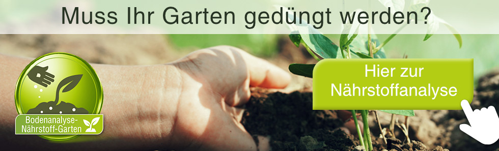 Muss Ihr Garten gedüngt werden?