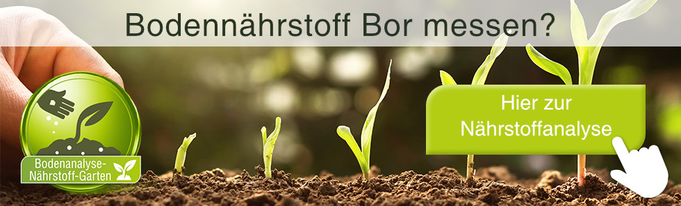 bodennaehrstoff-bor-messen